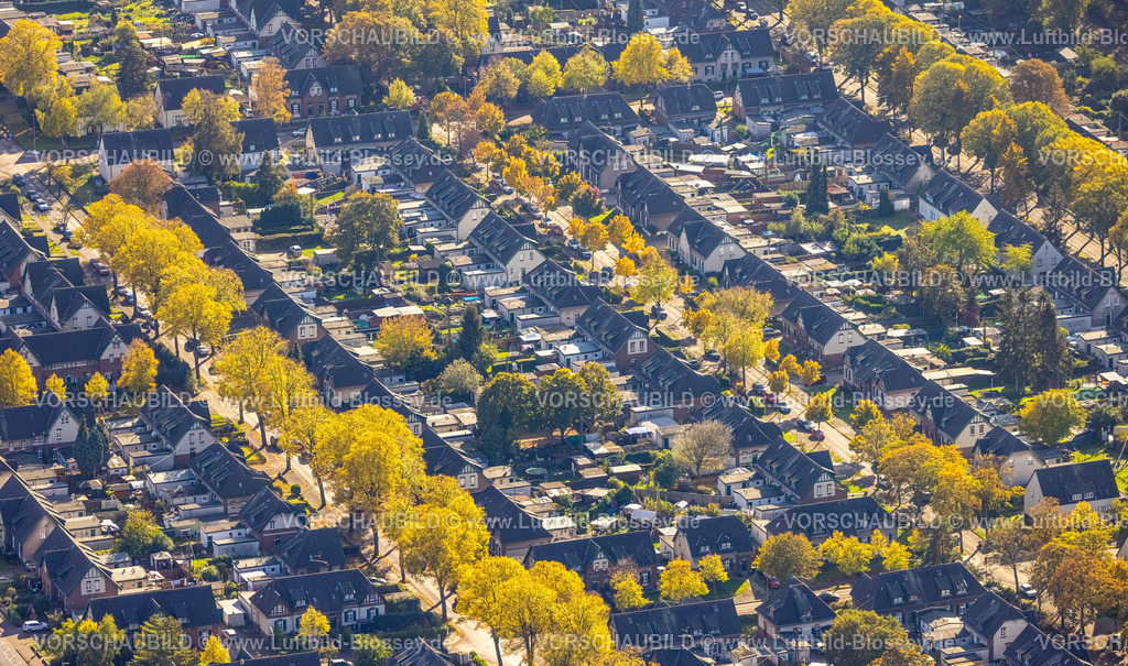 Moers221004147 | Luftbild, Arbeitersiedlung Meerbeck-Hochstraß, zwischen Ruhrstraße und Fuldastraße, Baumallee und Bäume in Herbstfarben, Formen und Farben, Moers-Hochstraß, Moers, Ruhrgebiet, Nordrhein-Westfalen, Deutschland