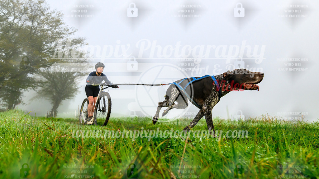 MompixPhotography_20TSB_E5_DS1-22 | PayLife