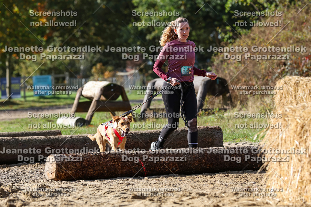 Dog Paparazzi - Strongdog 10-25-4868 | Dog Paparazzi Jeanette Grottendiek Fotografie & Videografie - Realisiert mit Pictrs.com