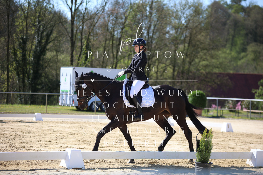 IMGT9679 | pl-fotografie