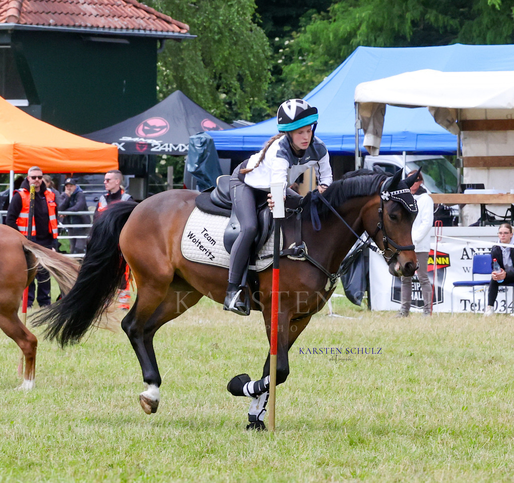 1B3A1312 | Reitsport Reiten