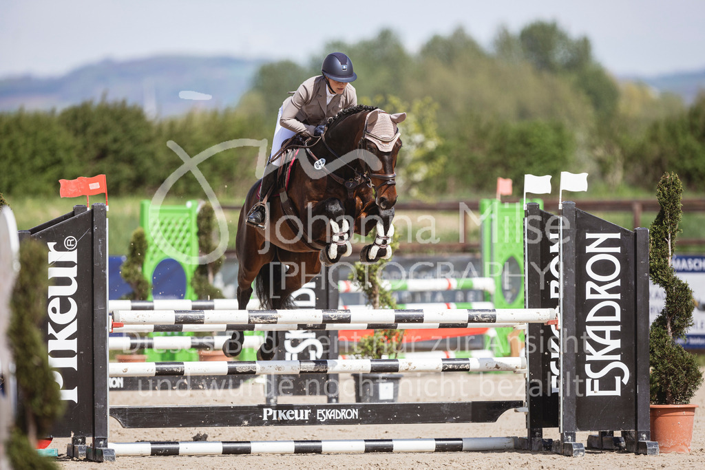 250419_Frühlingsfest_Stil-A2-2-619 | Deine schönsten Turniermomente als professionelle Fotos! Entdecke hochwertige Pferdesport-Fotografie im Online-Shop. Jetzt Fotos finden & bestellen!