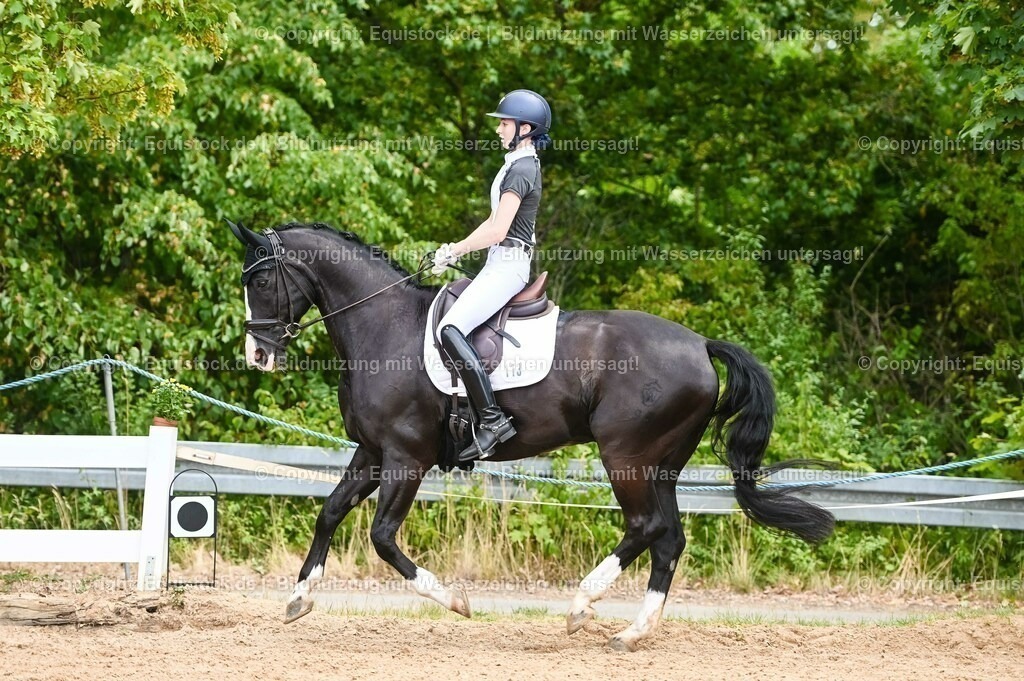 20230715_05_Dressurprüfung Kl.A++_0165 | equistock