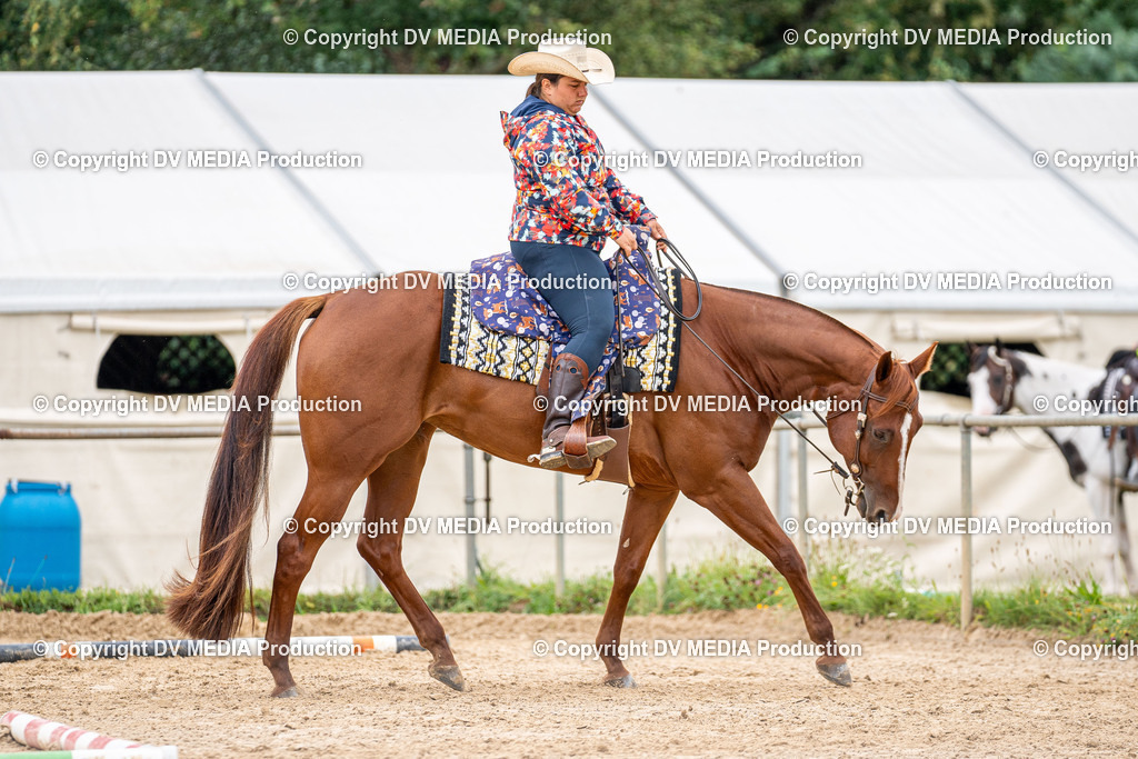 LM Heiligenwald Tag 3-890 | dv-media-shop - Realisiert mit Pictrs.com