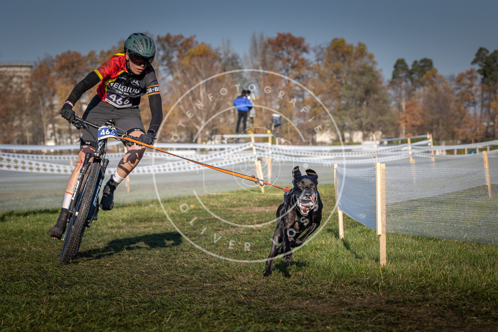 CaniXpix_0L8A4557 | Hundefotografie, Tierfotograf, Pfotenfotografie, Fotoshooting Hund, Hunde Portrait, Hundesport, Hundeportraits, Heideshooting, Hunde, Sportfotograf, Hundefotograf, Turnierhundsport, THS,  - Realisiert mit Pictrs.com