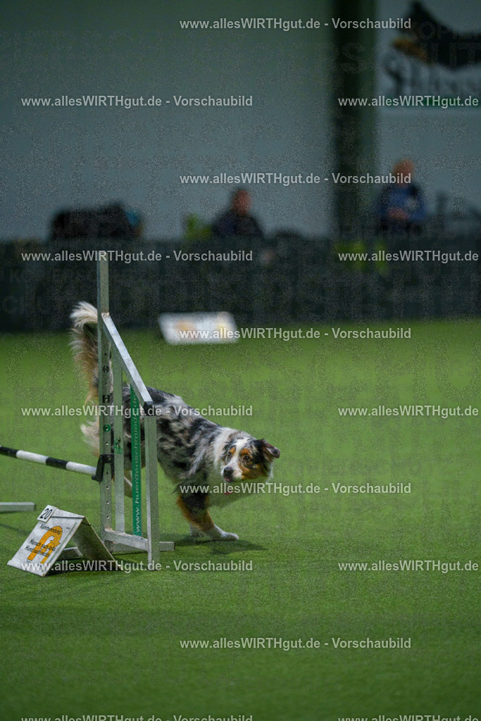 7R509592 | Professionelle Tierfotografie in Mönchengladbach von Daniel Wirth (allesWIRTHgut). Liebevolle & natürliche Bilder von Hunden & Katzen für unvergessliche Erinnerungen.