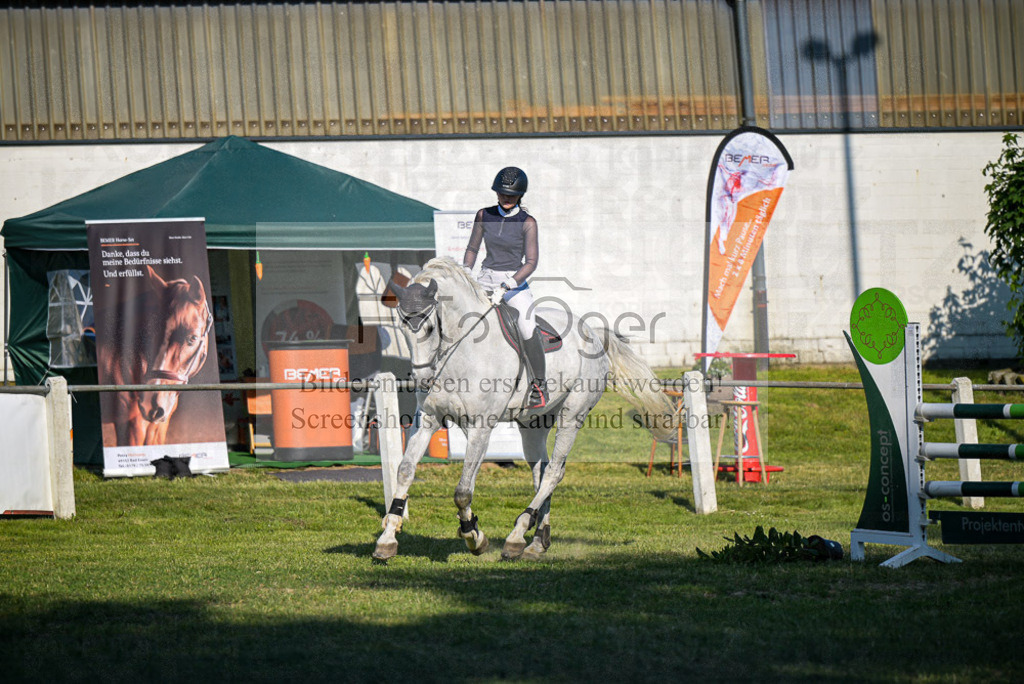 Reitturnier Voxtrup | Entdecke hochwertige Reitturnierfotos von Foto Oger. Professionell, emotional und authentisch – jetzt Lieblingsmomente im Shop bestellen.Deutschlandweite Turnierfotografie. - Realisiert mit Pictrs.com