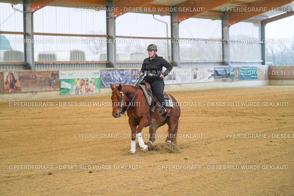 DSC09304 | Pferdegrafie