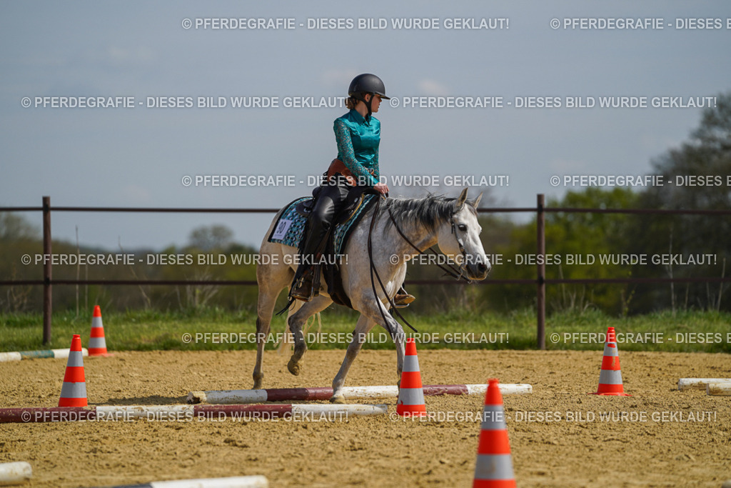 DSC04619 | Pferdegrafie