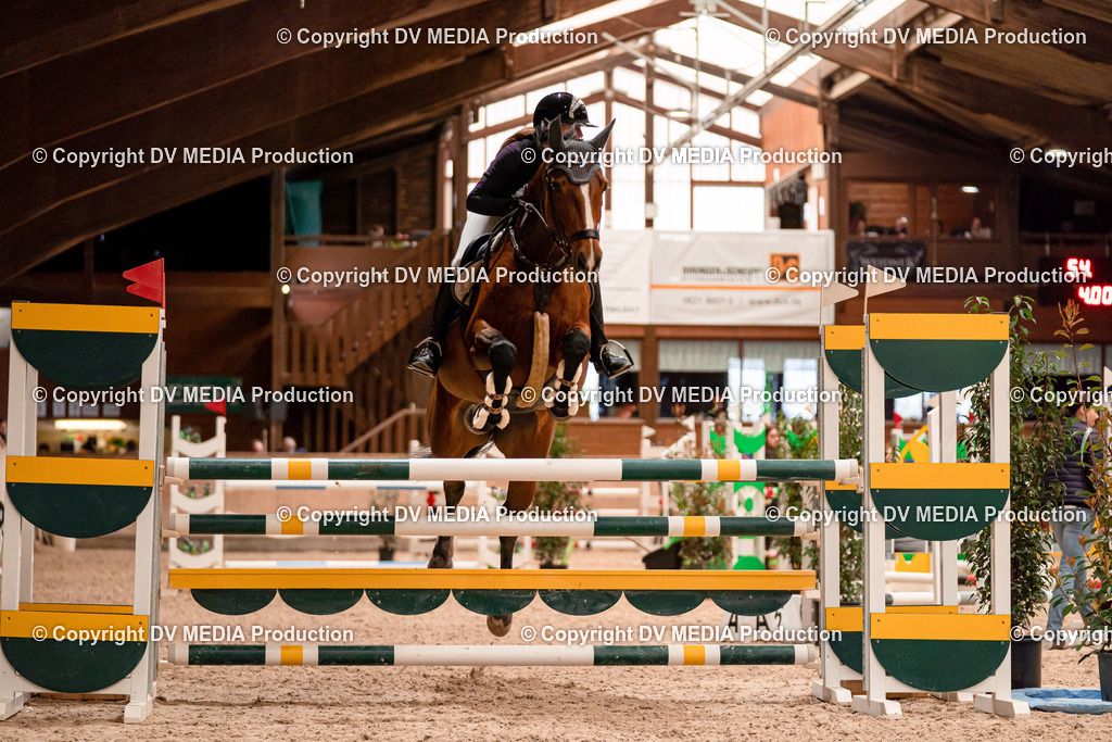 Springen Tag 1-537 | dv-media-shop - Realisiert mit Pictrs.com