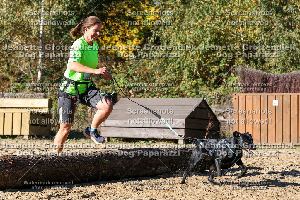 Dog Paparazzi - Strongdog 10-25-2392 | Dog Paparazzi Jeanette Grottendiek Fotografie & Videografie - Realisiert mit Pictrs.com