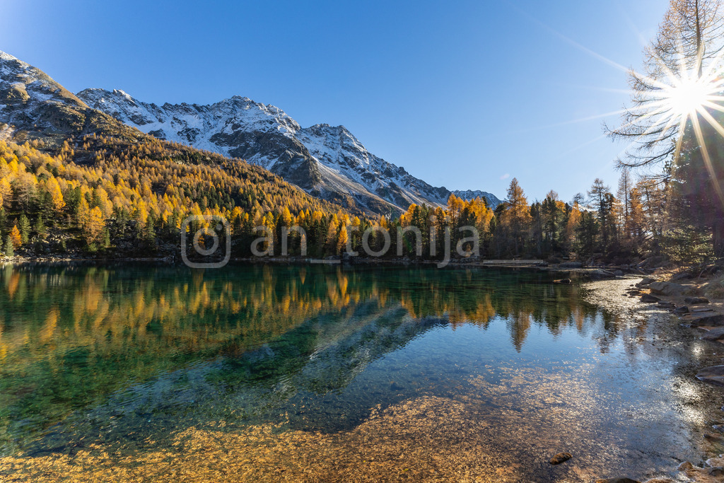 JB3A5175 | antonija-trupina - Realisiert mit Pictrs.com