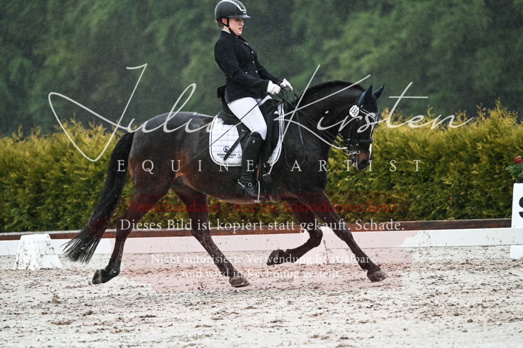 DSC_4656 | Pferde- und Turnierfotografie in Westsachsen. Pferdeportraits, Auftragszeichnungen und intuitive Kunst.