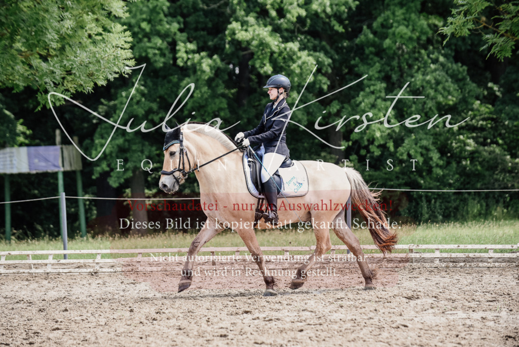DSC_1640 | Pferde- und Turnierfotografie in Westsachsen. Pferdeportraits, Auftragszeichnungen und intuitive Kunst.