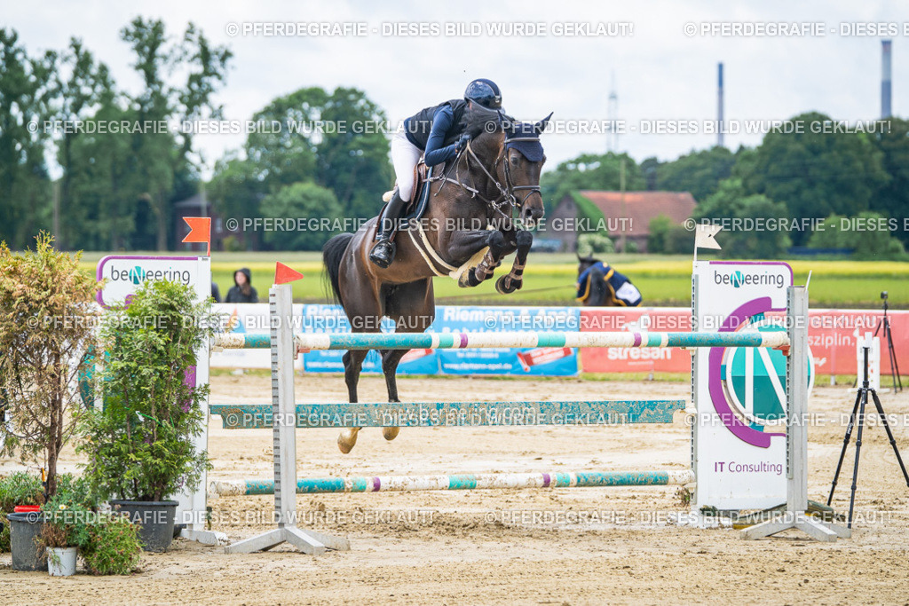 DSC04612 | Pferdegrafie