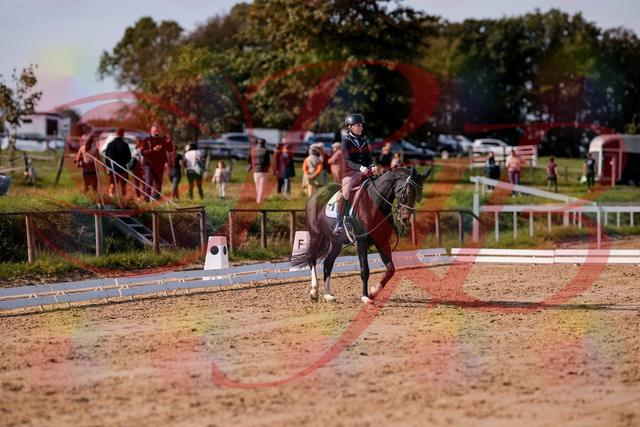 2026_10_03_Siefer-Hof_121533_Z81_16983839 | Professionelle Reitsport-, Turnier- und Eventfotografie von Robert Broda. Galerien mit ausgewählten und bearbeiteten Bildern direkt online ansehen und bestellen.