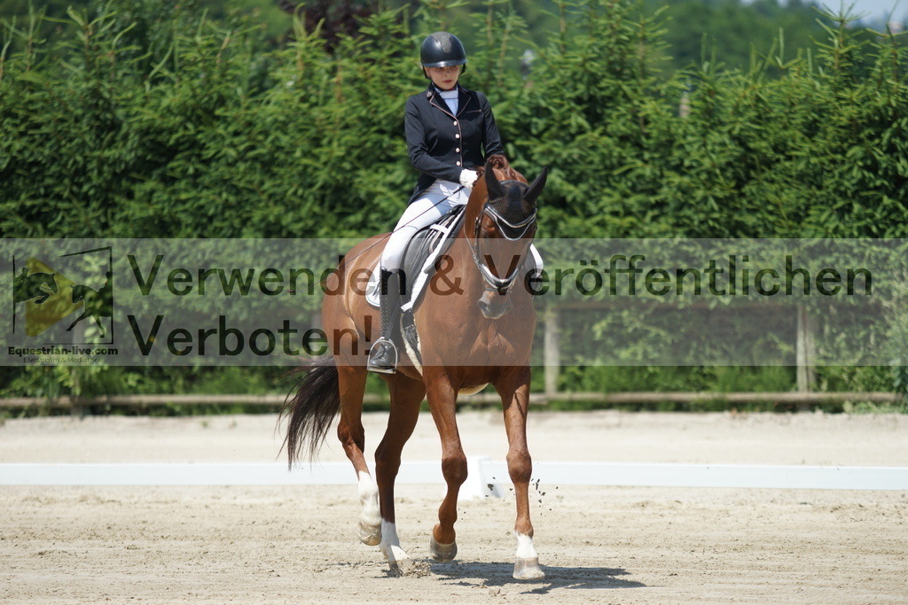 DSC04867 | equestrian-live-com