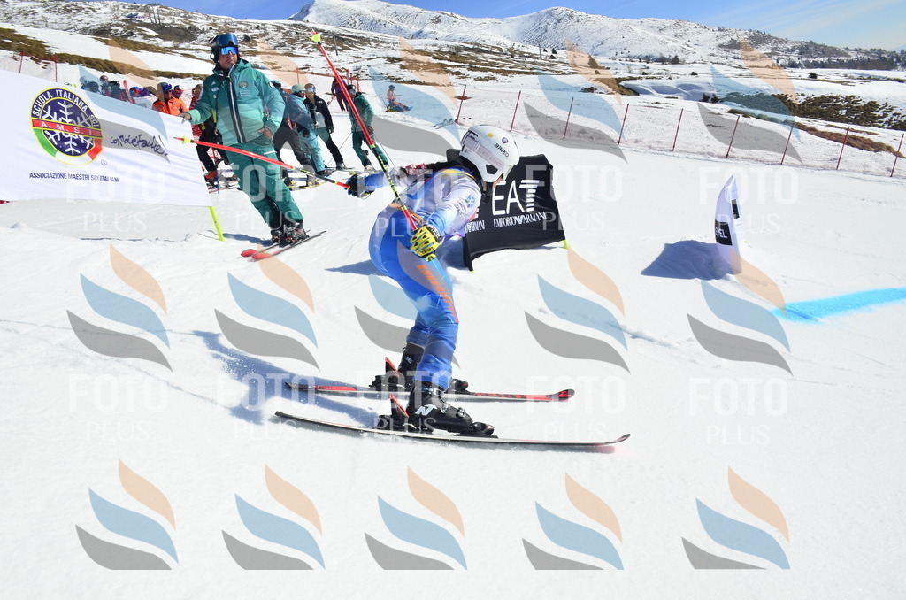 _ELE9687 | holidayphoto