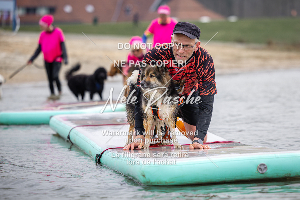 nelerasche_Hulsbeek_Sa1130-1230_510 | nelerasche
