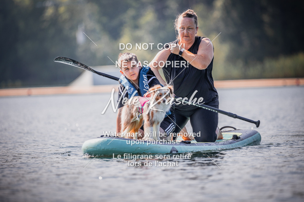 BUHU_SUP_280 | nelerasche