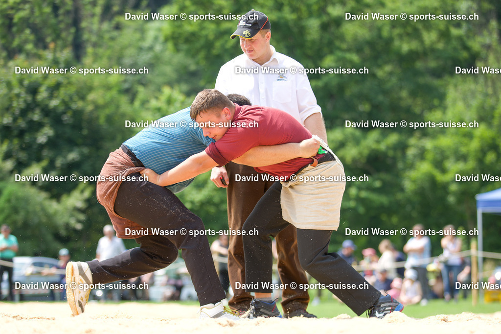 Kramer Dorian __ - König Manuel (2008) _ la 17. Schwingertag Laupen_ 09.06.2025 | Kramer Dorian ** - König Manuel (2008) à la 17. Schwingertag Laupen, 09.06.2025