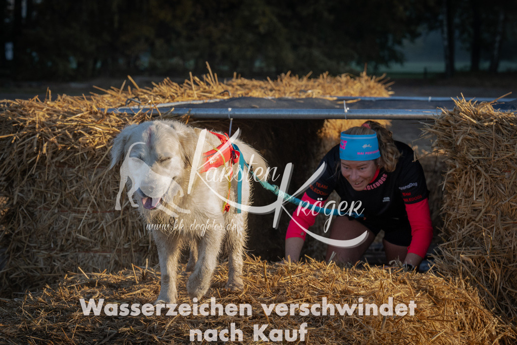 0905_ZZ91154 | kk-dogfotos