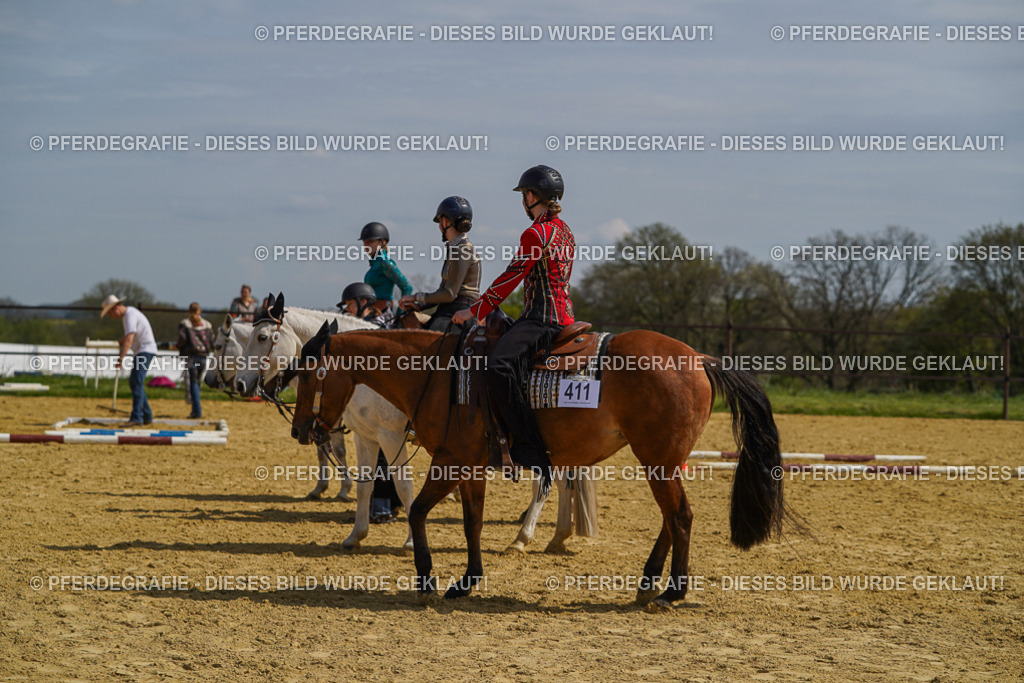 DSC04793 | Pferdegrafie