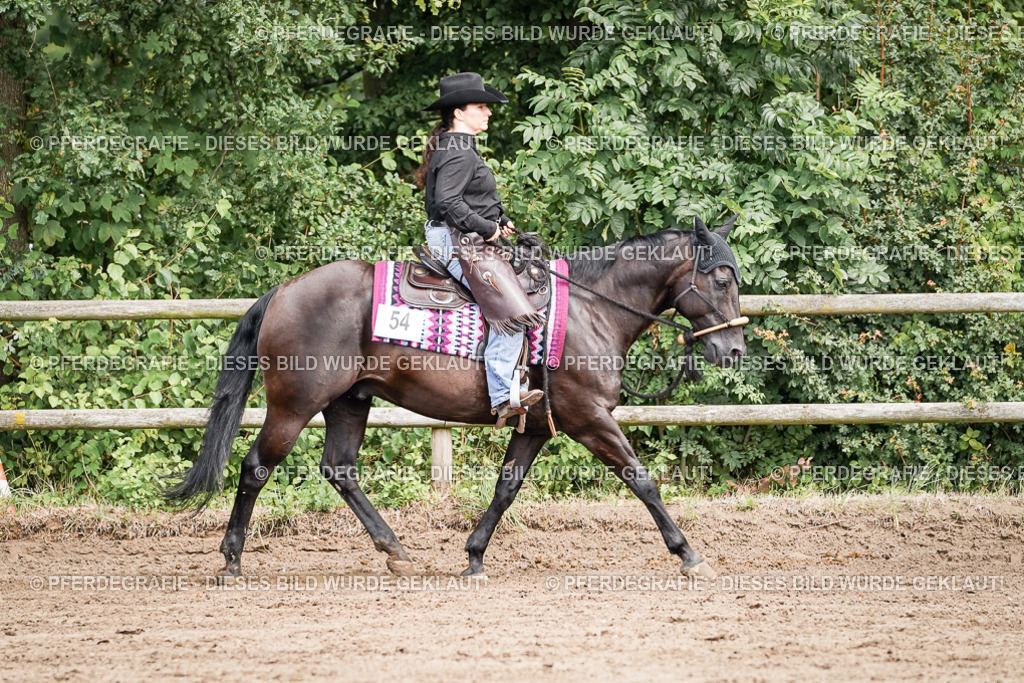 DSC06984 | Pferdegrafie