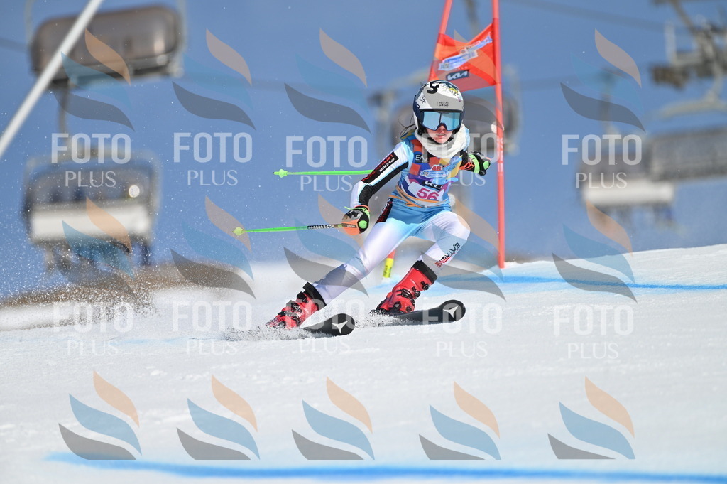 BGV_8641 | holidayphoto