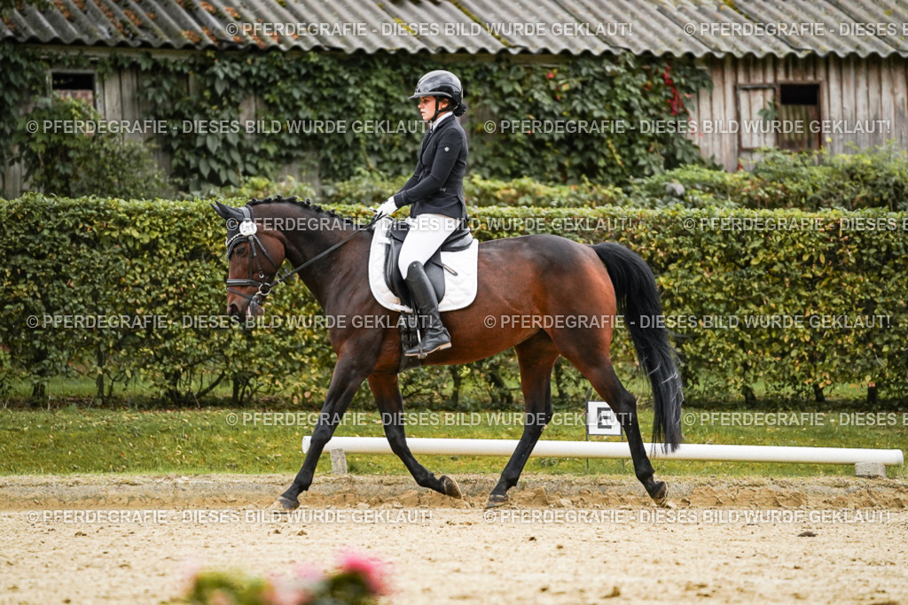 DSC07018 | Pferdegrafie