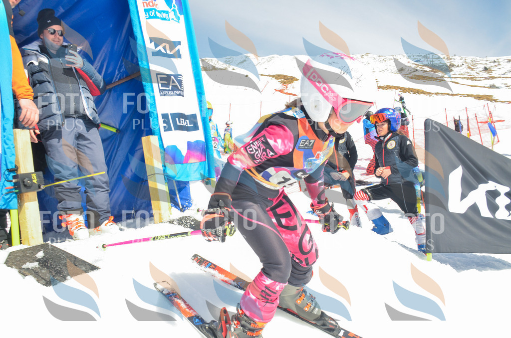 _ELE6308 | holidayphoto