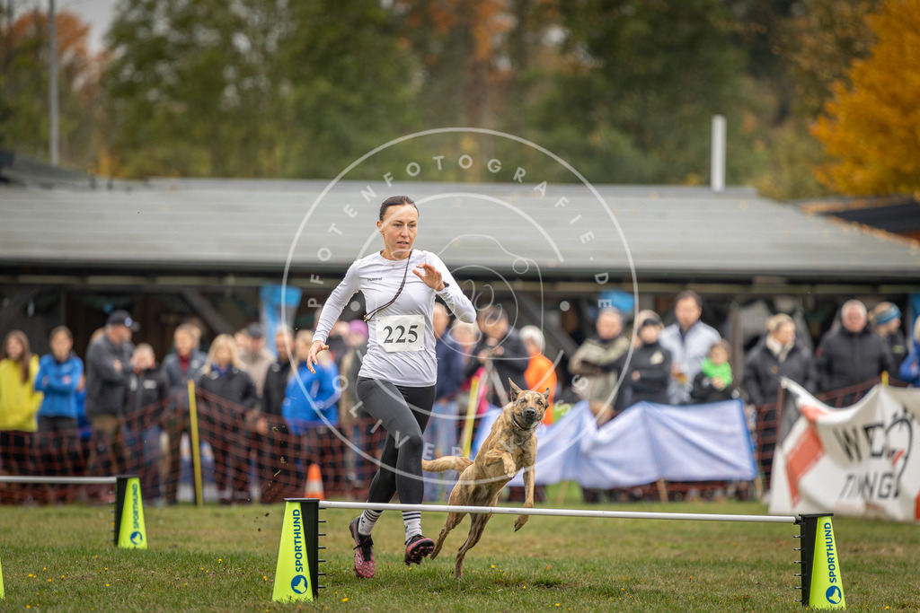 Pfotenfotografie_DV3A3160 | Hundefotografie, Tierfotograf, Pfotenfotografie, Fotoshooting Hund, Hunde Portrait, Hundesport, Hundeportraits, Heideshooting, Hunde, Sportfotograf, Hundefotograf, Turnierhundsport, THS,  - Realisiert mit Pictrs.com