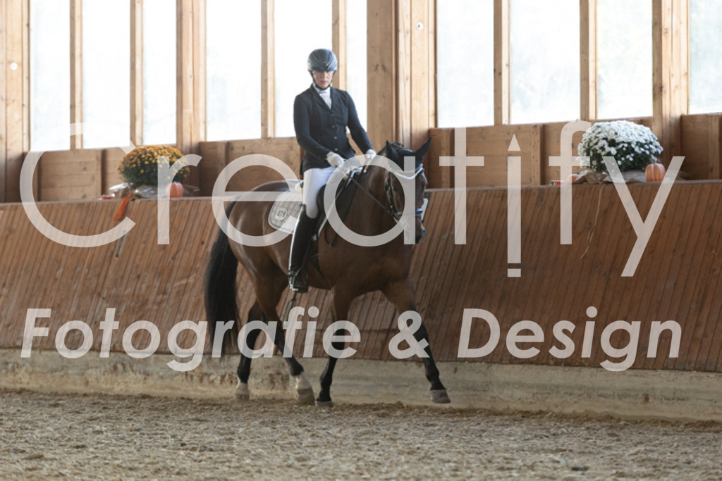 IMG_3620 | Creatify Fotografie