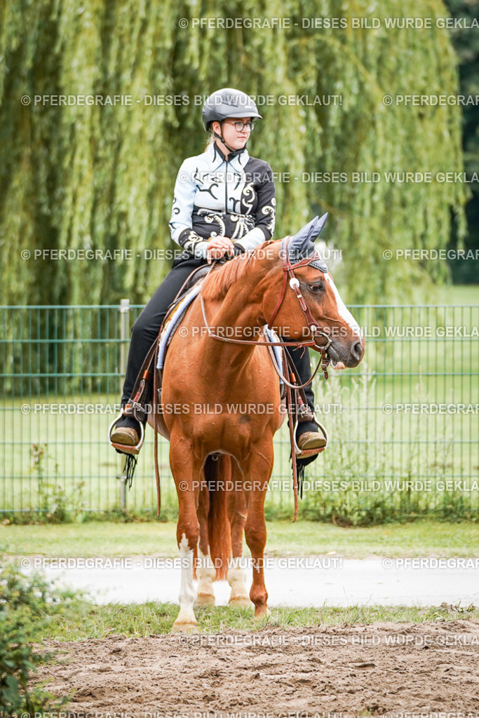 DSC03906 | Pferdegrafie