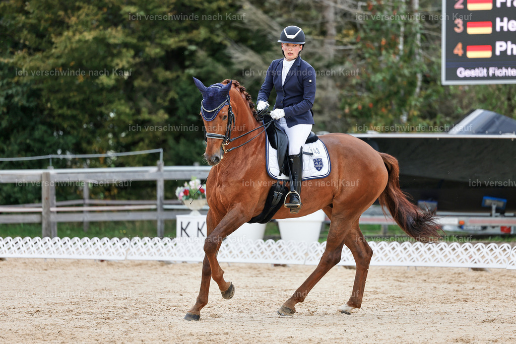 04_1-143-Dressur M__ -StoibPH-StoibPH-2691 | working equitationturnier fotograf videograf stoibphotography marixx film working equitation deutschland reitsport turnierfotografie eventfotografie equestrian events