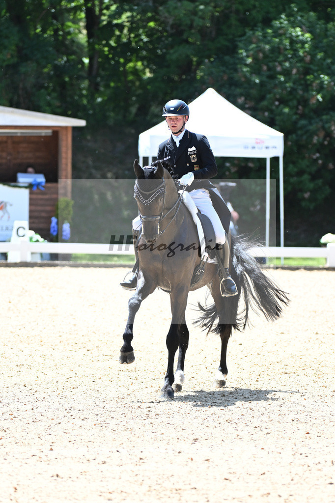 Netz_DSP Dieudonne_11254927 | hf-fotografie - Realisiert mit Pictrs.com