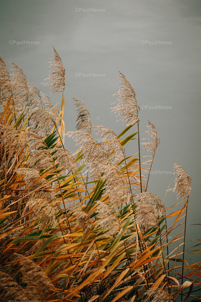 20221120_PaulHense_S0002_DSC03727-2 | paulhense - Realisiert mit Pictrs.com