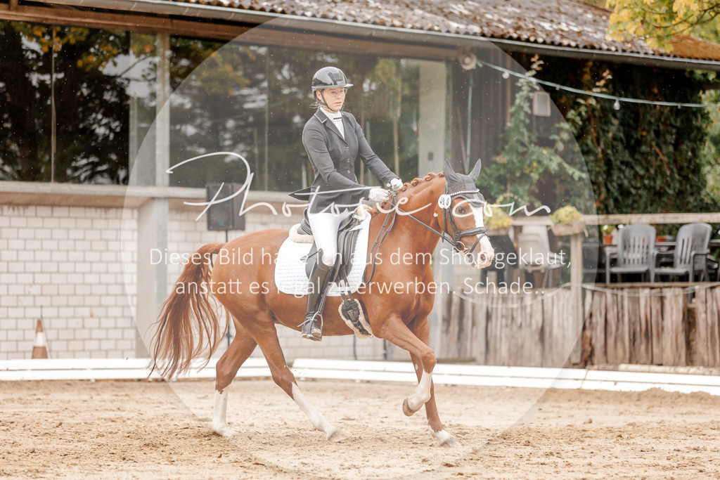 3I6A5969 | Stimmungsvolle Portraits und Reitsportfotografie im Ruhrgebiet und im Münsterland.

Pferdefotografie, Hundefotografie, Tierfotografie, Reportagen, Portraits von Tier und Mensch, Turnierfotografie in Bochum, Recklinghausen, Marl, Haltern am See, Dülmen.. - Realisiert mit Pictrs.com