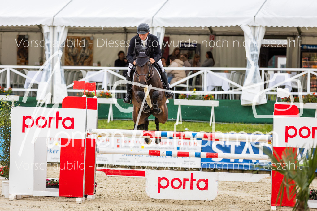 BHO-2PhSpr-M-5-2394 | MomenTaufnahmen Pferdesportfotos