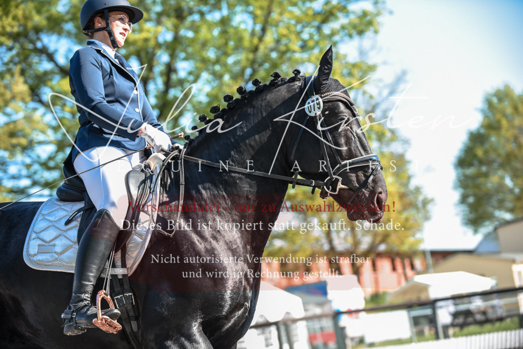 DSC_8484 | Pferde- und Turnierfotografie in Westsachsen. Pferdeportraits, Auftragszeichnungen und intuitive Kunst.