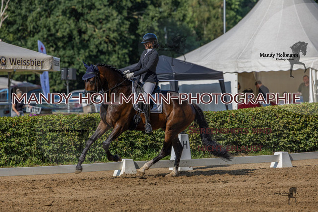 15.8.25 D1 RPF 3j (233 von 255) | mandyhollmannphotographie