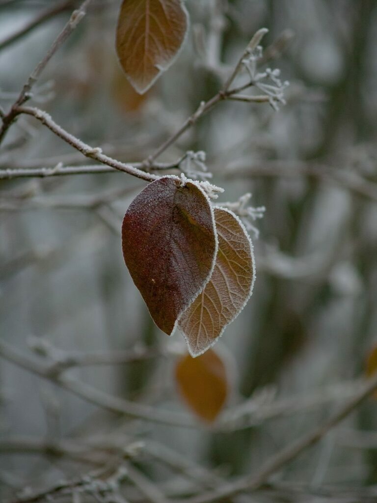 PSX_20221203_233918 | mtkfoto_ - Realisiert mit Pictrs.com