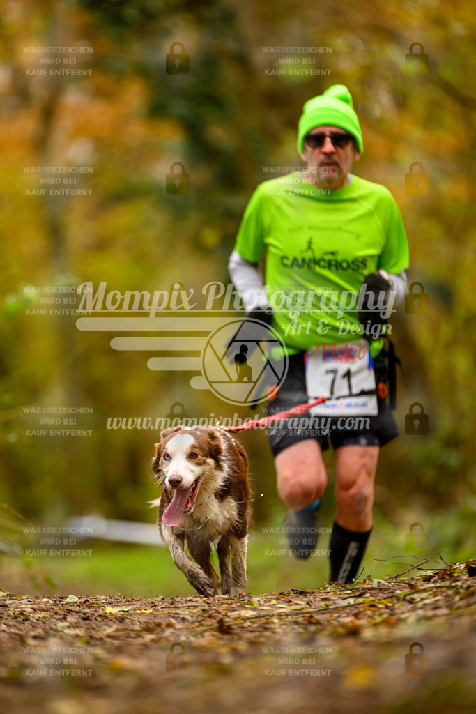 MompixPhotography_Bischwiller24_SA_Canicross-89 | PayLife