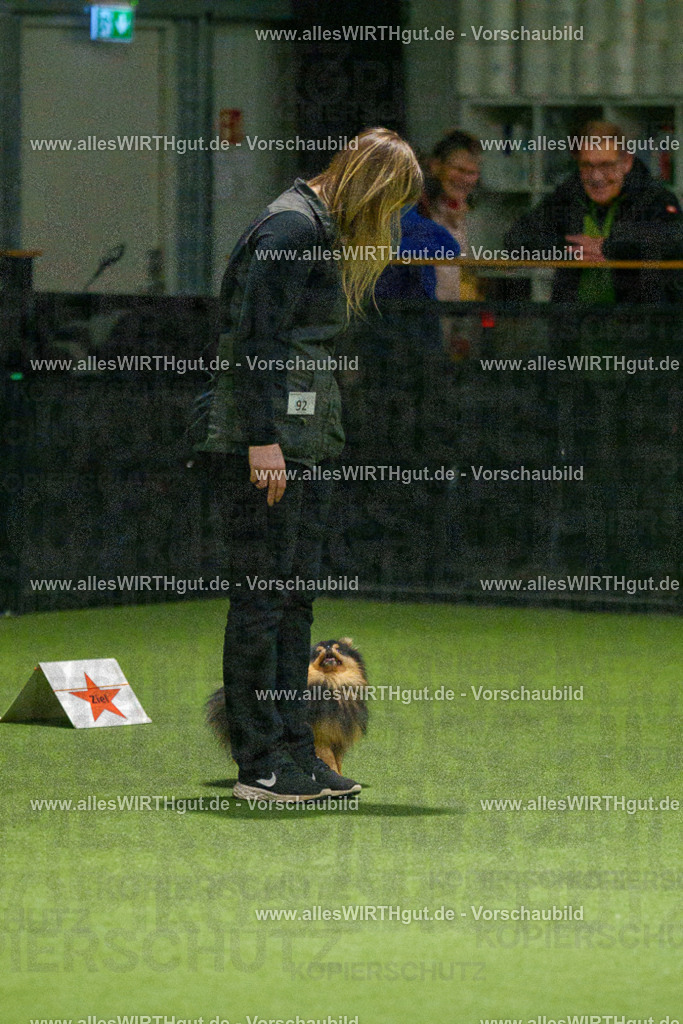 7R508935 | Professionelle Tierfotografie in Mönchengladbach von Daniel Wirth (allesWIRTHgut). Liebevolle & natürliche Bilder von Hunden & Katzen für unvergessliche Erinnerungen.