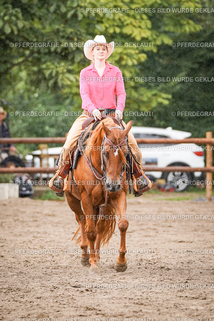 DSC07962 | Pferdegrafie