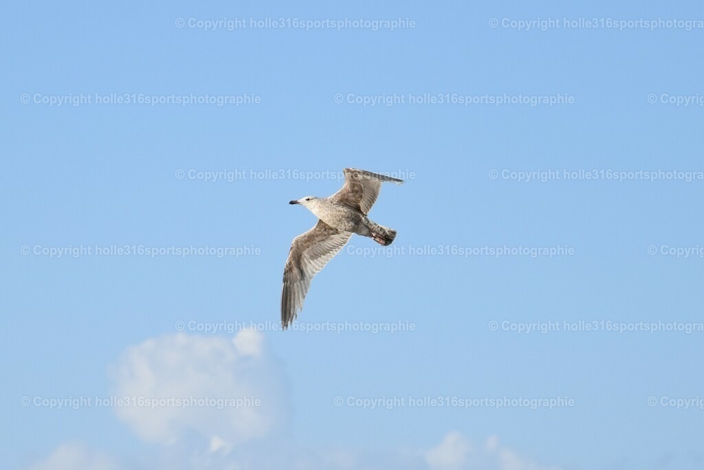 DSC_0021 (2) | Sportfotografie , Motorsport, Motoross, Reitsport, Mointainbike, Enduro,
Landschaft , Outdoor, Eventfotografie, Landschaft, Bilder online bestellen - Realisiert mit Pictrs.com