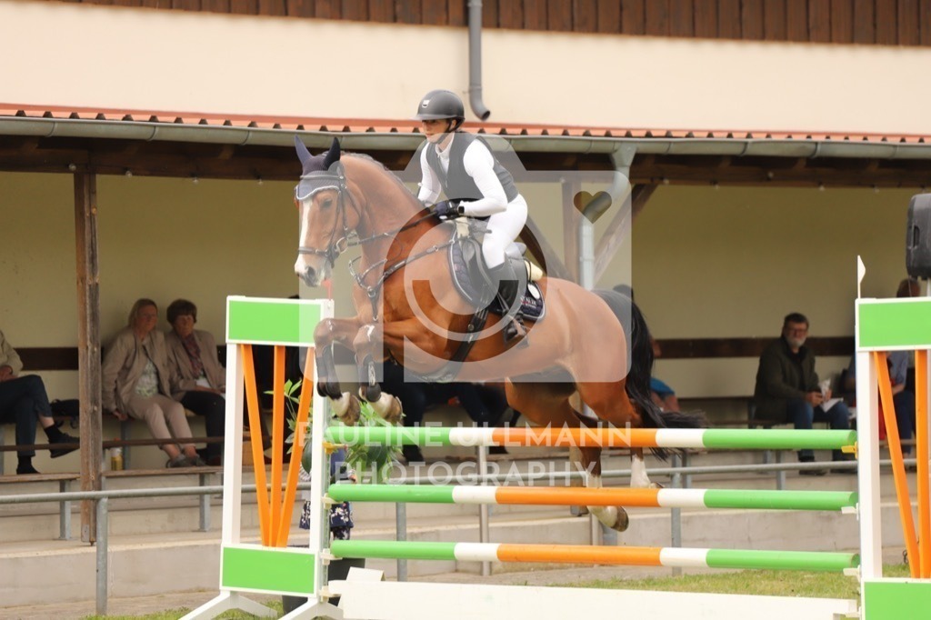 IMG_7857 | Pauline Ullmann Photography - Realisiert mit Pictrs.com