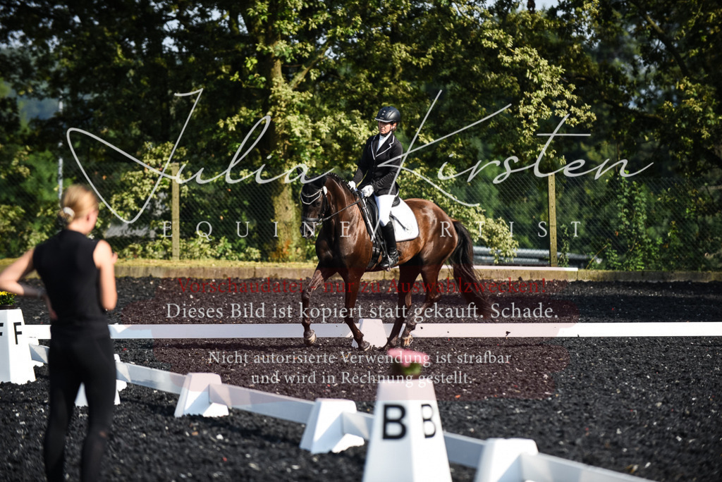 DSC_3188 | Pferde- und Turnierfotografie in Westsachsen. Pferdeportraits, Auftragszeichnungen und intuitive Kunst.