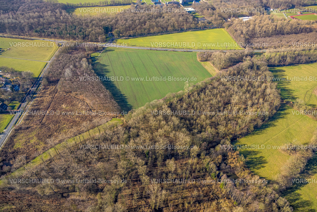 Nordkirchen230206009 | Luftbild, Mittelalterliche Turmhügelburg im Waldgebiet, Nordkirchen, Münsterland, Nordrhein-Westfalen, Deutschland