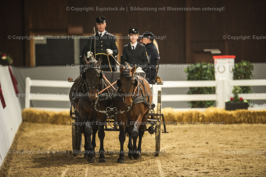 20240302_Hengstvorstellung_Marbach_TOMsPiC_0760 | equistock